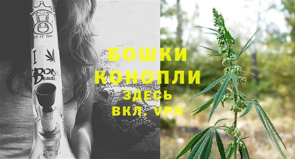 стафф Бронницы