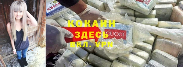 стафф Бронницы