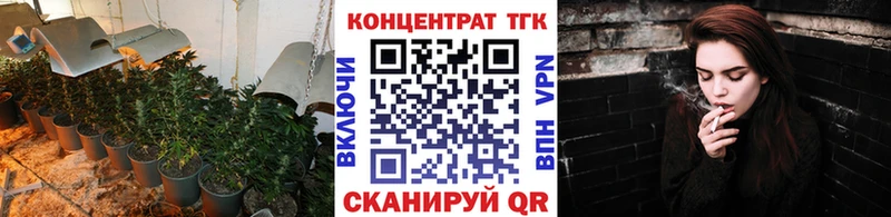 Купить Гаврилов Посад ТГК гашишное масло