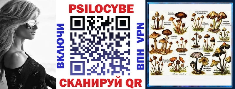Купить закладки  Гаврилов Посад  Псилоцибиновые грибы GOLDEN TEACHER 